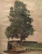 Albrecht Durer Linden Tree on a Bastion china oil painting reproduction